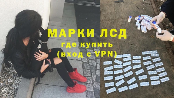 спиды Армянск