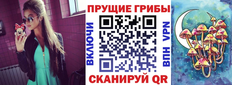 Псилоцибиновые грибы GOLDEN TEACHER  Байкальск 